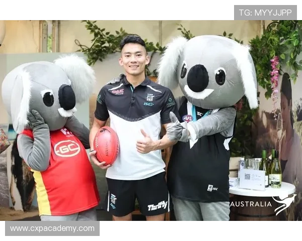 华体会体育正规官网助力用户享受高品质的体育娱乐与博彩体验